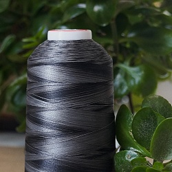 Нитки Гинко/Gingko Мультиколор  5000м